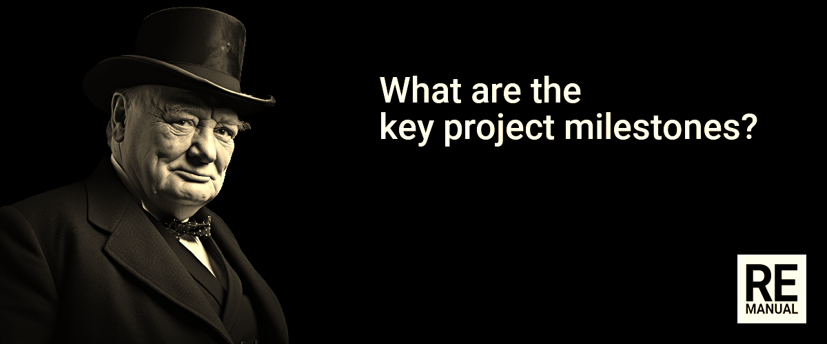 What are the key project milestones?